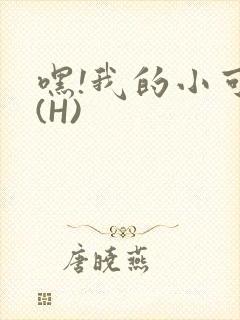 嘿!我的小可爱(H)