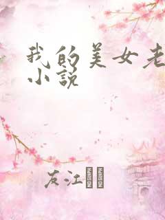 我的美女老板 小说
