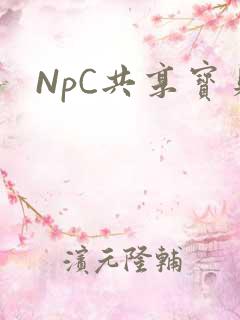 NpC共享宝贝