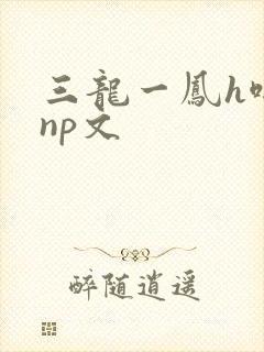 三龙一凤h啪肉np文