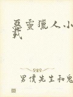 恶灵猎人小说下载