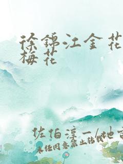 徐锦江金花瓶楷梅花