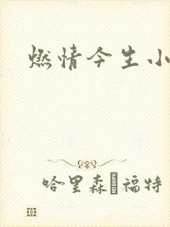 燃情今生小说