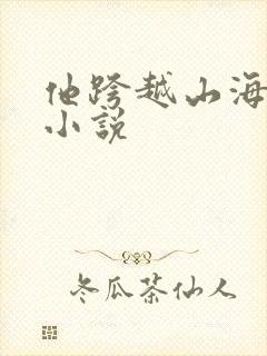 他跨越山海而来小说
