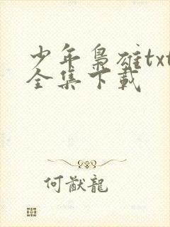 少年枭雄txt全集下载