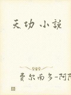 天功 小说