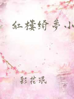 红楼绮梦小说