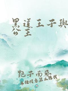 黑道王子与冰山公主