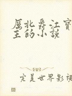 厉北爵江宝宝男主的小说