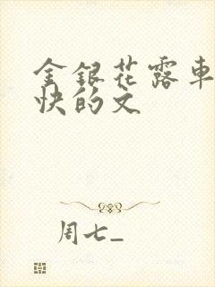 金银花露车速最快的文