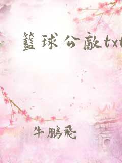 篮球公敌txt