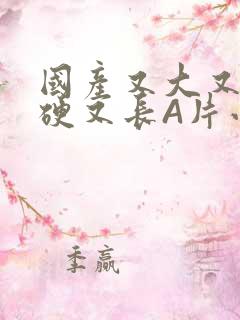 国产又大又粗又硬又长A片小说