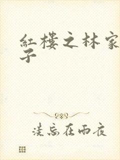 红楼之林家庶长子