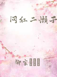 网红二懒子车祸