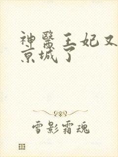 神医王妃又轰动京城了