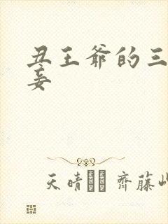 丑王爷的三妻四妾