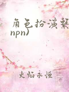 角色扮演系统(npn)