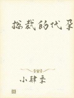 总裁的代孕女友