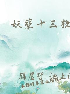 妖孽十三枚