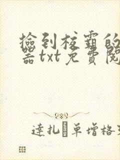 捡到校霸的遥控器txt免费阅读