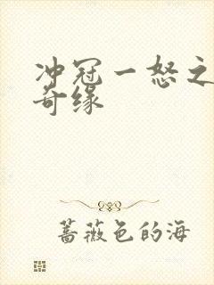 冲冠一怒之合租奇缘