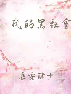 我的黑社会女友