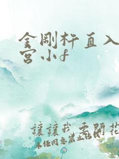 金刚杵直入莲花宫小f