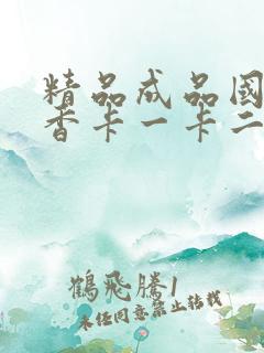 精品成品国色天香卡一卡二摄像头