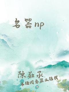 名器np