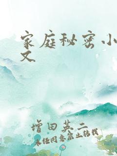 家庭秘密小说全文