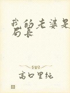 我的老婆是警察局长