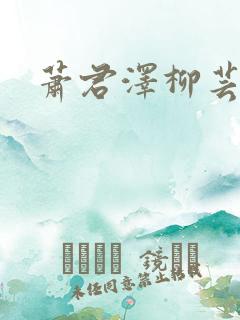 萧君泽柳芸小说