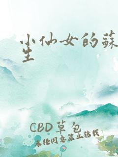 小仙女的苏撩先生