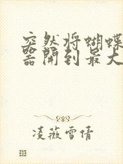 突然将蝴蝶遥控器开到最大