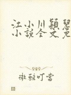 江小川颖儿穿越小说全文免费阅读