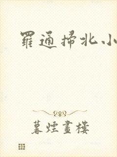罗通扫北小说
