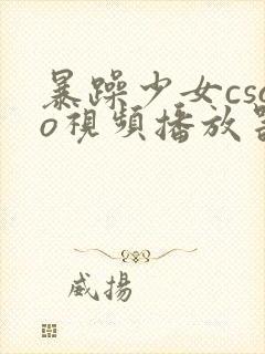 暴躁少女csgo视频播放器推荐