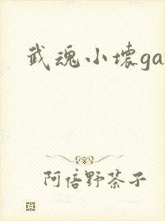 武魂小坏ga