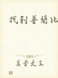 找到普兰比尔德