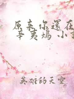 原来你还在这里 辛夷坞 小说