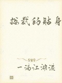 总裁的贴身冷秘