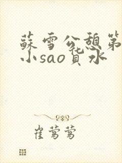 苏雪公憩第一章小sao货水