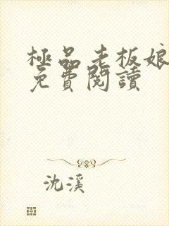 极品老板娘全文免费阅读