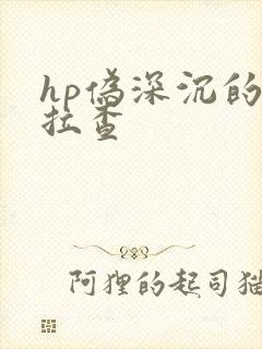hp伪深沉的萨拉查