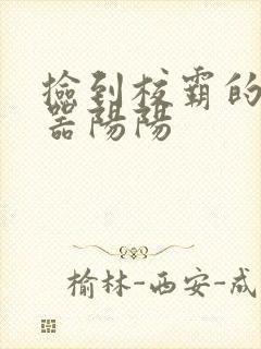 捡到校霸的遥控器阳阳