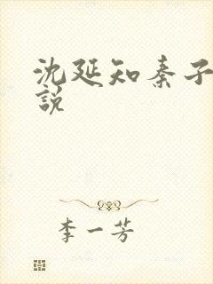 沈延知秦子卿小说