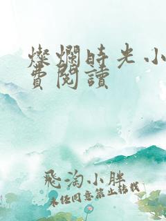 灿烂时光小说免费阅读