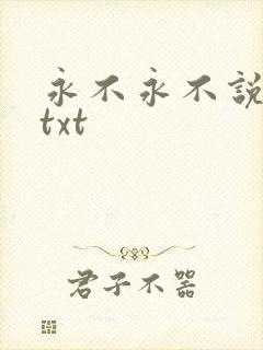 永不永不说再见txt
