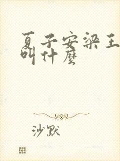 夏子安梁王书名叫什么