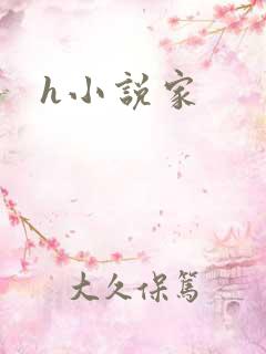 h小说家